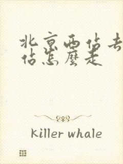 北京西站去朝阳站怎么走