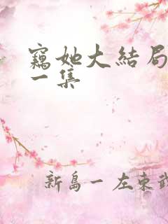 窃她大结局最后一集