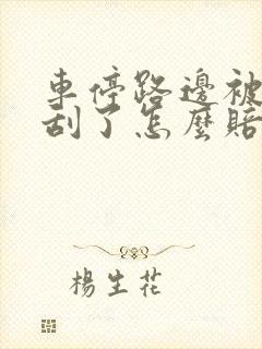 车停路边被别人刮了怎么赔付的