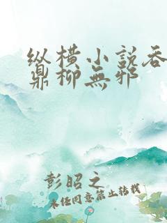 纵横小说吞天神鼎柳无邪