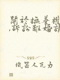 关于抚养权问题,诉讼离婚请律师需要多少钱