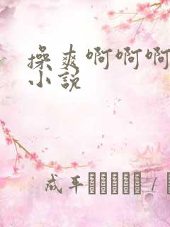 操爽啊啊啊啊啊小说