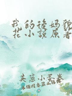 我的后妈貌美如花小说原著