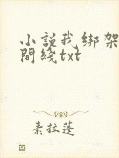 小说我绑架了时间线txt
