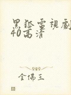 黑狐电视剧全集40高清