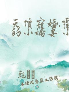 天价宠婚,霍总的小娇妻 小说
