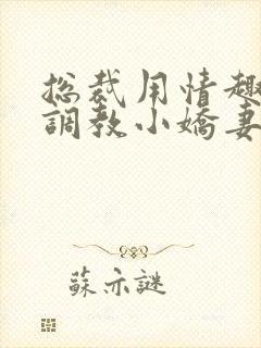 总裁用情趣用品调教小娇妻