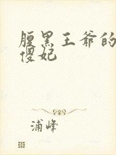 腹黑王爷的神医傻妃