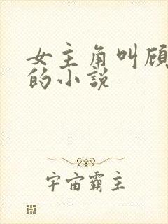 女主角叫顾知意的小说