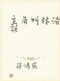 主角叫林浩的小说