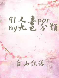 91人妻porny九色分类