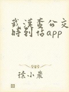 武汉查公交车实时到站app