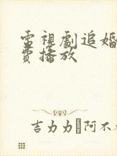 电视剧追婚记免费播放