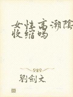 女性高潮阴道会收缩吗