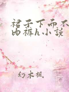 裙子下面不许穿内裤h小说
