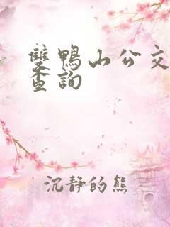 双鸭山公交实时查询