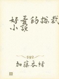 好看的总裁男男小说