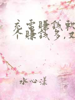 充电赚钱软件哪个赚钱多,又安全