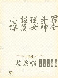 小说从斗罗开始俘获女神全文在线阅读