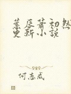 叶辰萧初然最快更新小说