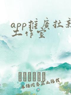 app推广拉新工作室
