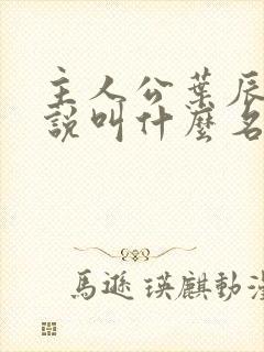 主人公叶辰的小说叫什么名