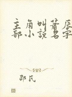 主角叫萧辰的全部小说名字