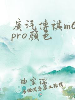 广汽传祺m6 pro颜色