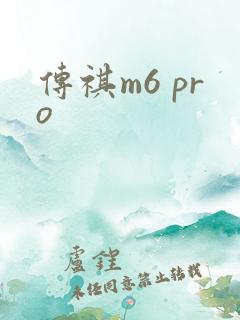 传祺m6 pro