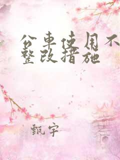 公车使用不规范整改措施