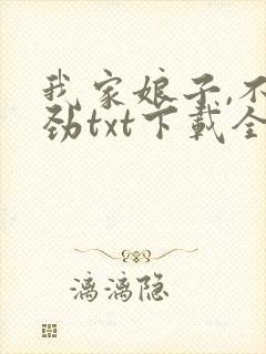 我家娘子,不对劲txt下载全本