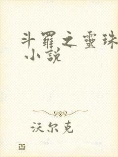 斗罗之灵珠神剑 小说