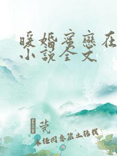 暖婚蜜恋在八零小说全文
