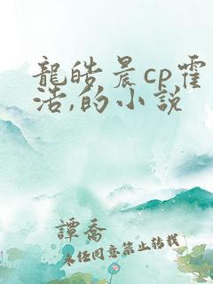 龙皓晨cp霍雨浩,的小说