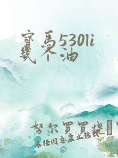 宝马530li几个油 宝马530li几个油