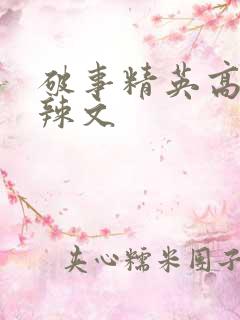 破事精英高h肉辣文