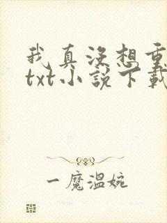 我真没想重生啊txt小说下载
