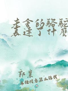 老舍的骆驼祥子表达了什么