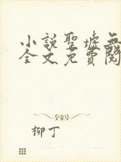 小说圣墟无弹窗全文免费阅读