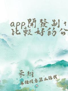 app开发制作比较好的公司