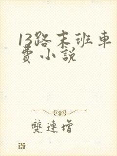 13路末班车免费小说