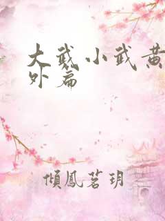 大武小武黄蓉番外篇