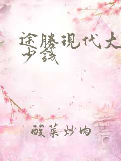途胜现代大概多少钱