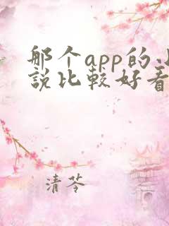 那个app的小说比较好看 那个app的小说比较好看