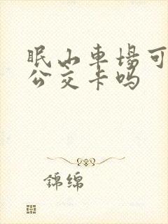 眠山车场可以充公交卡吗