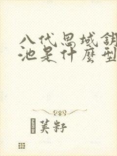 八代思域钥匙电池是什么型号