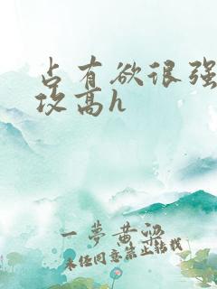 占有欲很强糙汉攻高h