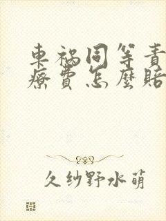 车祸同等责任医疗费怎么赔偿