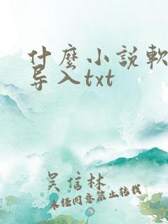 什么小说软件能导入txt