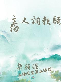 主人调教骚货母狗